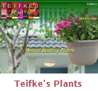 Our web site for Teifke's Plants