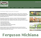 Our web site for Ferguson Michiana